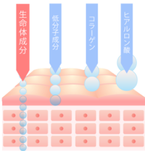 リペアジェルのビタミンC生命体