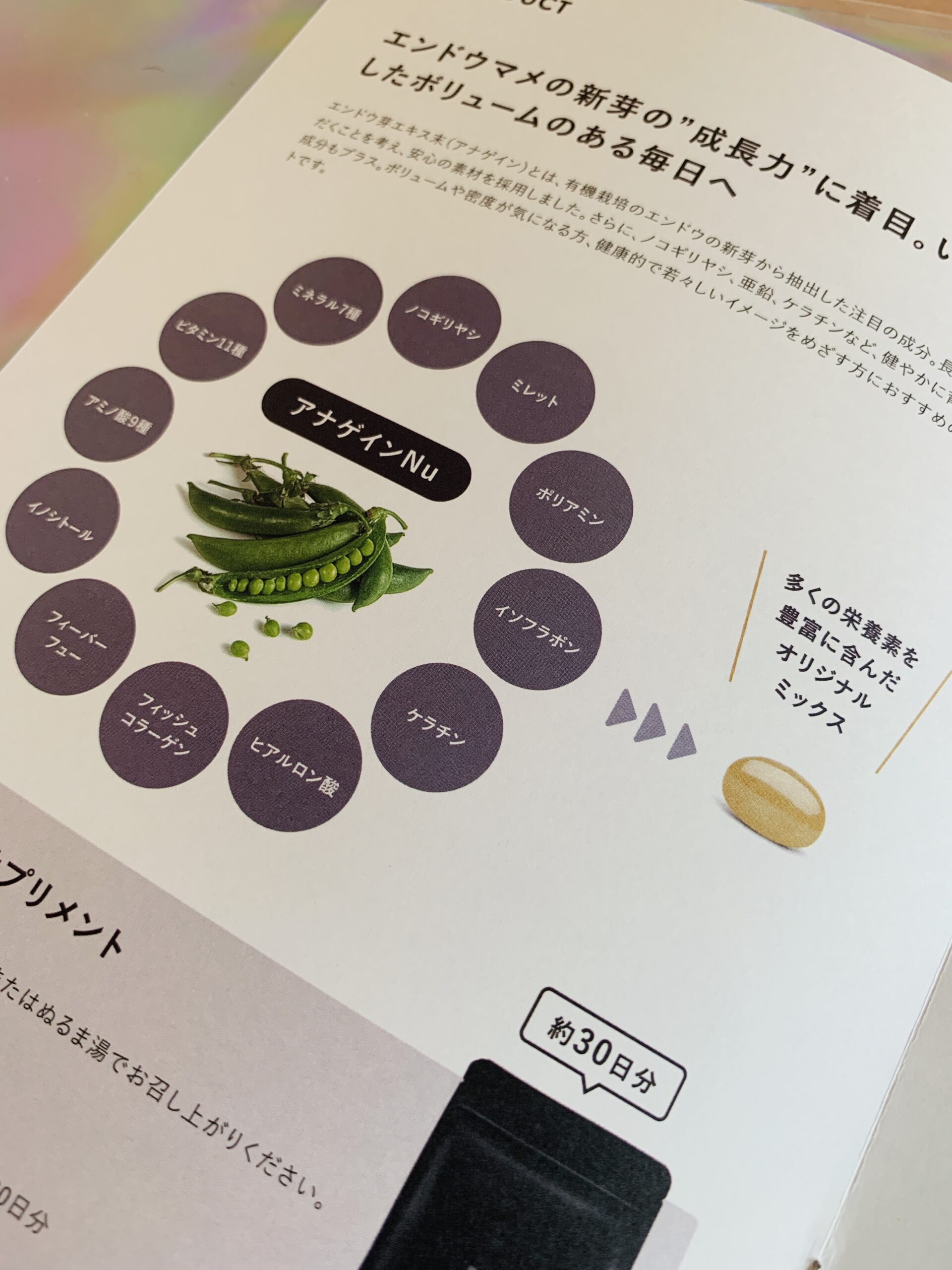 エンドウ豆の新芽の「成長力」に着目！